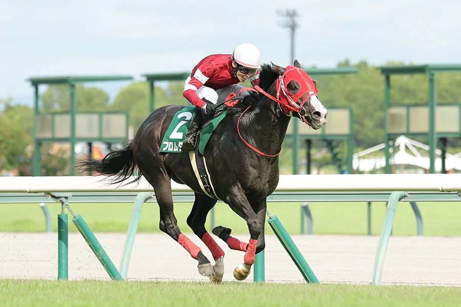 「詩人かよ」デビュー15年目・中井裕二が重賞初V翌日に綴った感動の言葉