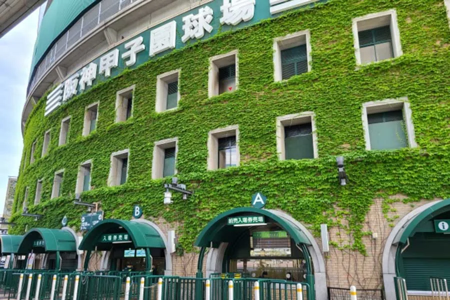 横浜vs日南学園で異変！ナイター甲子園が超満員3万4000人 ファン熱狂